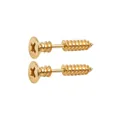 Macro shot of gold stainless steel screw shaped stud earrings with realistic thread detail - Single Piece / Gold
