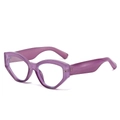 Classic purple thick frame cat-eye sunglasses with translucent geometric retro design - Purple Frame