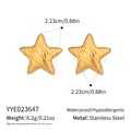 Dettaglio orecchini a stella dorati testurizzati in acciaio con peso e dimensioni - Stile Stella Texturizzata Dorata (YYE023647)