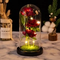 Preserved red velvet roses in glass dome with LED light string and black wooden base - Glass Dome / Black Base Red Flower + Lawn