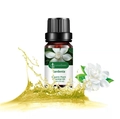 10ml organic gardenia essential oil in amber bottle with fresh yellow oil splash - Gardenia (gardenia) As A Single Herb
