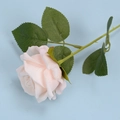 Single artificial pink velvet rose flower with green leaves and realistic stem - Champagne