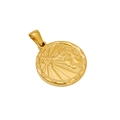 Golden round zodiac medallion pendant with sun and lion relief for steel necklaces - Leo - Single Pendant