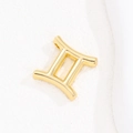 Macro shot of gold-plated Gemini zodiac pendant with a polished mirror finish surface - Gemini