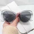 Occhiali da sole cat-eye grigi traslucidi con lenti grigio scuro e montatura grande - Montatura grigia traslucida Lente grigia