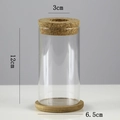 Clear hydroponic glass vase with cork lid and bamboo base, size 12cm height and 3cm opening - Cylinder (6.5*12cm) with Bamboo Mat