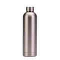 Insulated 750ml stainless steel water bottle with brushed metal finish and screw cap - 750ml / Silver Gray (Style I)