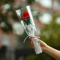Handgefertigte rote Häkel-Tulpe in transparenter Geschenkverpackung im Garten - Rote Tulpe