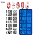 Detail of BC-06 nail art stamping plate with floral and geometric patterns for manicure - Rose Swan Character Style (BC-06)