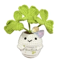 Handmade crochet positive clover plant with a cute face and an adventure card - Colorful Bow Four-leaf Clover Potted