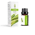 SchhuaBeffin lemongrass essential oil 10ml bottle with white packaging box for diffuser - Citronella