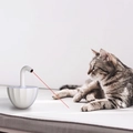 Gioco laser automatico bianco per gatti che proietta il punto rosso su base morbida - Confezione Inglese / Bianco