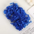 Pétalos de hortensia preservados azules para manualidades y decoración de bodas - 5g / Azul Real