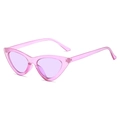 Cat-Eye Sonnenbrille mit transparentem rosa Rahmen und lavendelfarbenen Gläsern - Transparenter Lila Rahmen Lila Linse