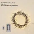 3m 100 LED warm white copper wire firecracker lights with USB plug and remote control - 3m 100LED Black Wire USB Remote