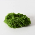 Light Green Moss Silk 100g