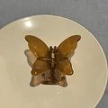 Primer plano de una pinza para el pelo con forma de mariposa ámbar en un plato blanco - Café Gelatina