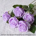 Little Paris Rose Purple