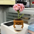 Handmade crochet pink carnation plant in a brown pot with Thank You message card - Pink Carnation