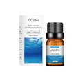 Ocean scent 10ml aromatherapy essential oil in a brown bottle with a white box - Ocean