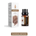 10ml sandalwood water-soluble essential oil in amber bottle with 100% pure aroma gift box - Sandalwood