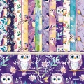 6x6 Songs of the Night scrapbook paper pad with owl and floral watercolor designs - R2528 24 Sheets