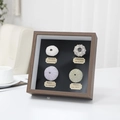 Walnut wood shadow box featuring four assorted sea urchin specimens with labels - Square 8 Inch Walnut (Includes 4 Shells + Glue + Light Strip)