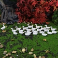 Miniature white resin ducks set for moss micro landscape and succulent garden decor - 26Pcs Set with 1 Big Duck and 25 Small Ducks (White Box)