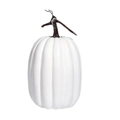 No.1 Large White Pumpkin with Large Stem