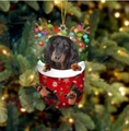 Kreativer Dackel in einer roten Weihnachtssocke als Anhänger an einem festlichen Baum - Dackel Typ 3