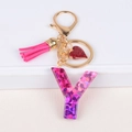 Pink resin letter Y keychain with glitter heart, tassel, and gold hardware for bags - Letter Y