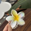 Haarklammer mit Frangipani-Blüte in Laser-Weiß und gelber Mitte für hohen Pferdeschwanz - Irisierender Gelber Kern