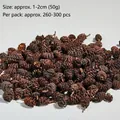 50g pack of 1-2cm natural mini dried pine cones for DIY crafts and holiday decor - 50g/Pack (Approx. 260-300pcs) / Dark Brown