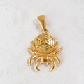 Detailed close-up of 24K gold plated spider pendant with intricate web pattern texture - Spider / Gold