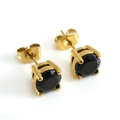 Elegant gold-plated stainless steel studs with black circular zircon in four-prong setting - Black