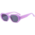 Chic purple polygon sunglasses with vintage matte frame and metallic rivet detailing - Transparent Purple / One Size