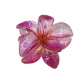 Pink translucent frangipani hair claw clip with pearlescent resin flower finish - Dazzle Transparent Plumeria [Rose Red]