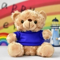 Detailed view of soft brown plush teddy bear wearing a blue t-shirt for holiday gifts - Sitting Height 30cm / Dark Blue