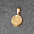 Golden titanium steel Elizabeth coin pendant featuring Roman portrait and wheat ear relief - B07-Latin Badge