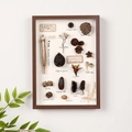 Cornice per bacheca in legno marrone scuro con diversi campioni botanici e etichette vintage - Noce / Profondità 3cm / 6 Pollici