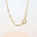 Minimalist golden paperclip chain necklace with a classic spring ring clasp detail - Paperclip Chain + Jump Ring