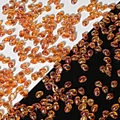 Orange tulip petal shaped glass beads with iridescent finish for DIY jewelry crafts - Amber Gold