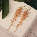 Style 14 Champagne Crystal Earrings