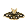 Black White Yellow Tulip Moth