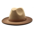 Classic wide brim fedora hat in khaki and dark brown felt with leather band - Brown Patchwork