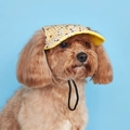 Detail of yellow plaid pet baseball cap with adjustable drawstring on a small dog - Yellow Plaid Bear