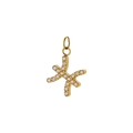 Pisces zodiac pendant necklace in gold-plated titanium with sparkling cubic zirconia - Pisces
