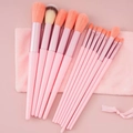 Pink 13-piece makeup brush set with ultra-soft fibers and matching velvet storage pouch - 13Pcs + Cloth Bag / Pink
