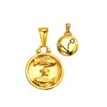 Pisces zodiac charm set in 18K gold finish with embossed stars and constellation - Pisces (SP343G-12)