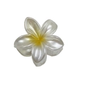 Pearlescent white and yellow plumeria hair claw clip with 4cm glitter floral design - Pearly Frangipani / Yellow